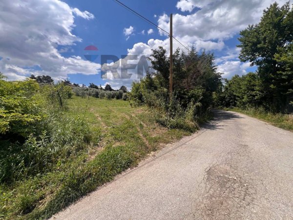 terreno agricolo in vendita a Fragneto Monforte