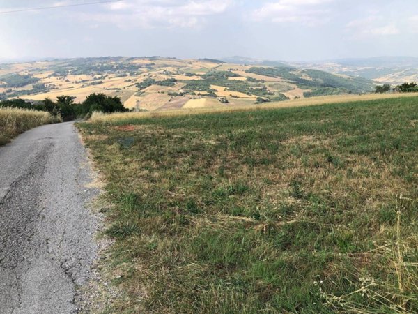 terreno agricolo in vendita a Fragneto Monforte