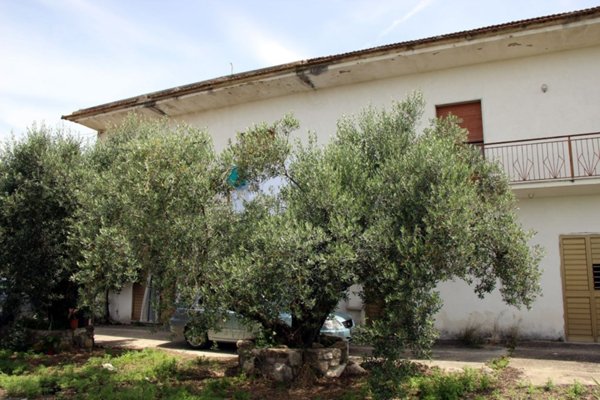 casa indipendente in vendita a Frasso Telesino