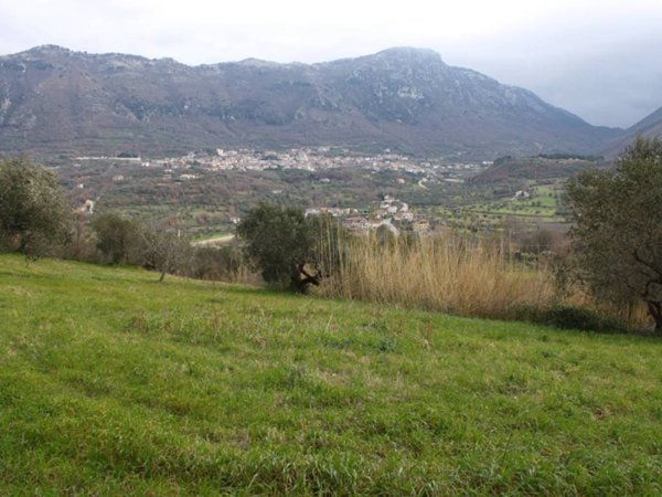 terreno agricolo in vendita a Frasso Telesino