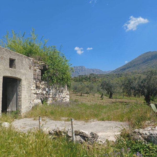 terreno agricolo in vendita a Frasso Telesino