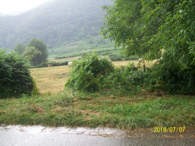 terreno agricolo in vendita a Frasso Telesino