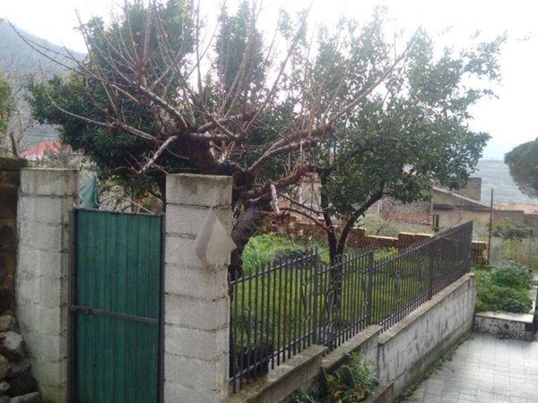 casa indipendente in vendita a Frasso Telesino