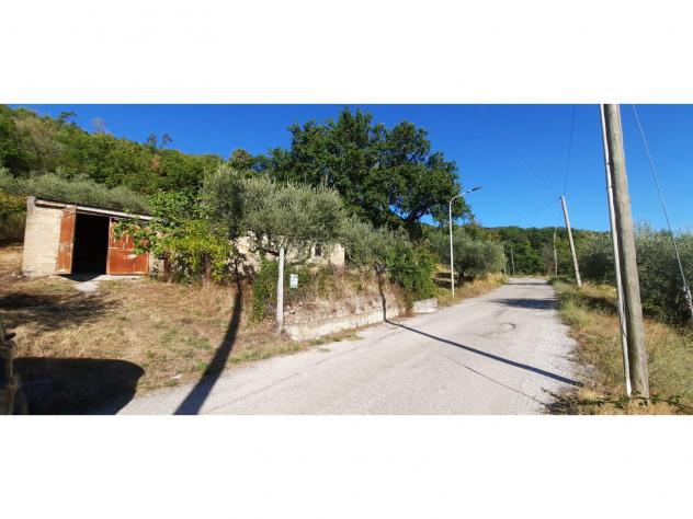 terreno agricolo in vendita a Frasso Telesino in zona Nansignano