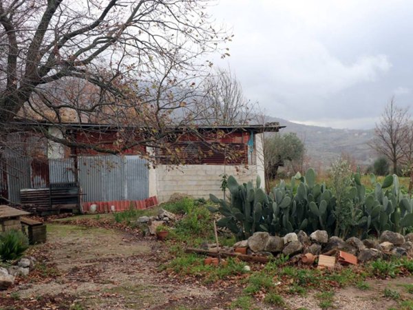 terreno agricolo in vendita a Frasso Telesino