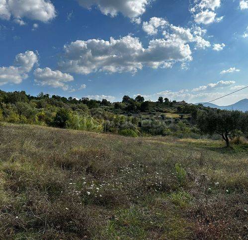 terreno agricolo in vendita a Frasso Telesino
