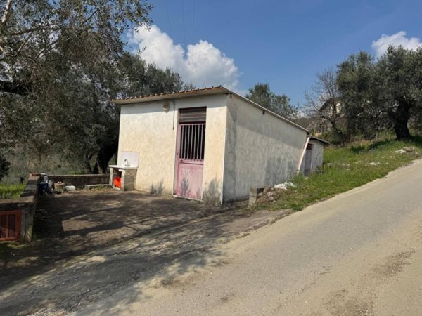terreno agricolo in vendita a Frasso Telesino