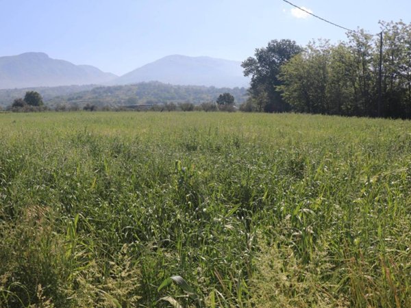 terreno agricolo in vendita a Frasso Telesino