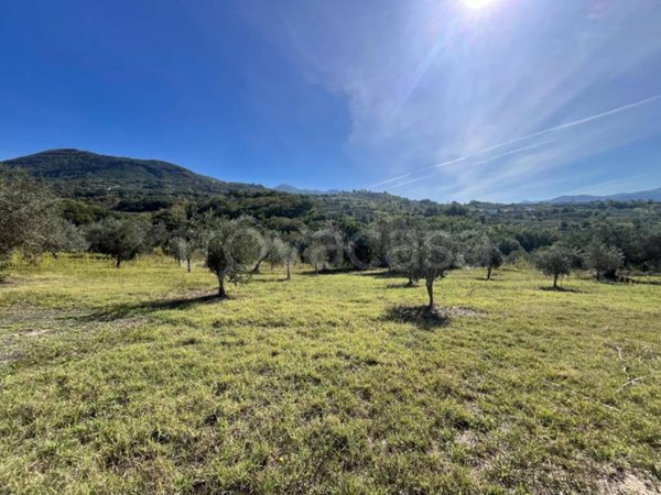 terreno agricolo in vendita a Frasso Telesino