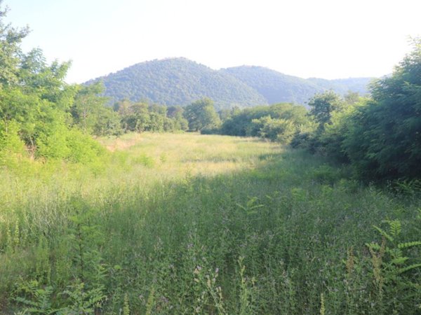 terreno agricolo in vendita a Limatola in zona Giardoni