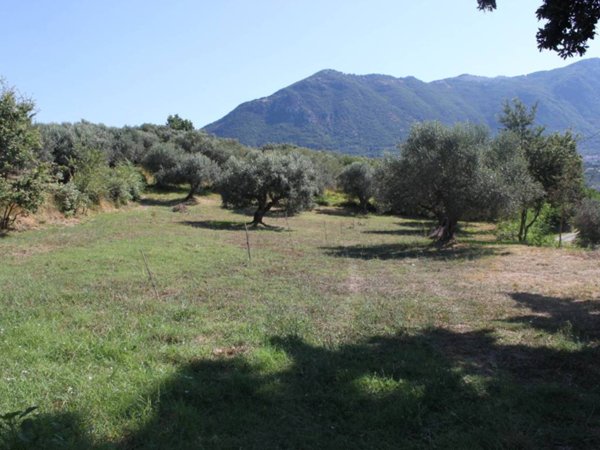 terreno agricolo in vendita a Melizzano