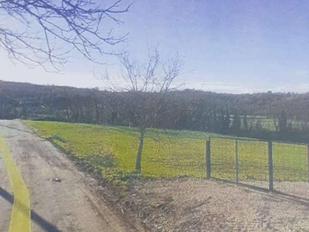 terreno agricolo in vendita a Melizzano