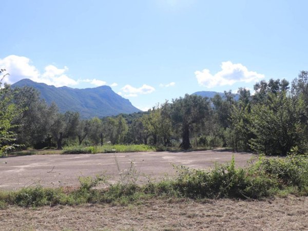 terreno agricolo in vendita a Melizzano