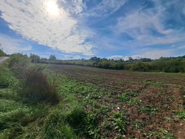 terreno agricolo in vendita a Melizzano
