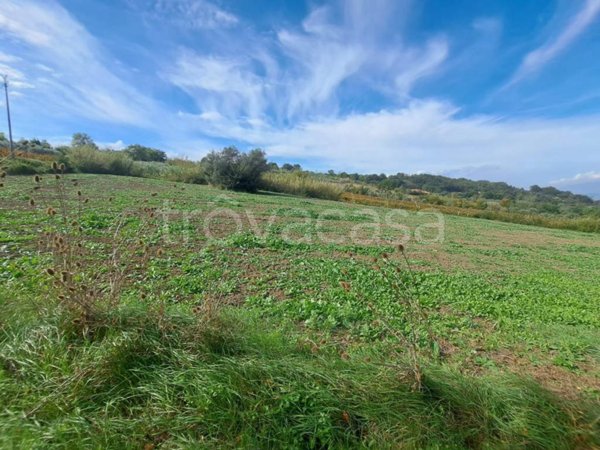 terreno agricolo in vendita a Melizzano
