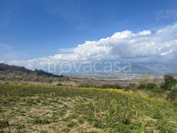 ufficio in vendita a Melizzano