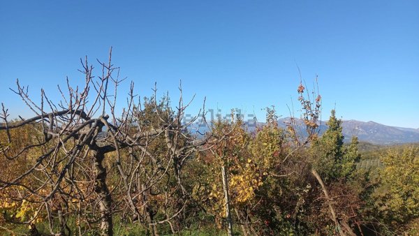 appartamento in vendita a Melizzano