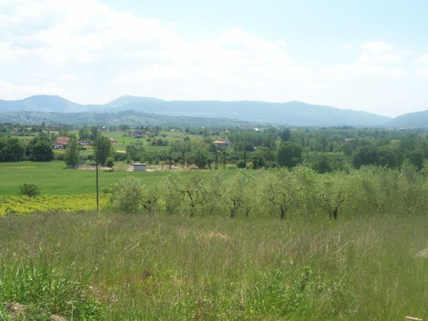 casa indipendente in vendita a Melizzano