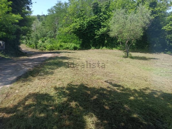 terreno agricolo in vendita a Melizzano