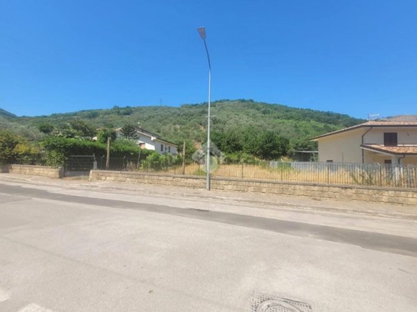 terreno agricolo in vendita a Moiano