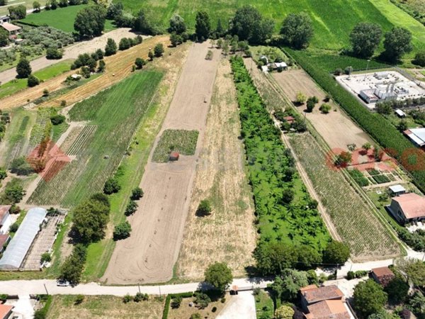 terreno agricolo in vendita a Montesarchio