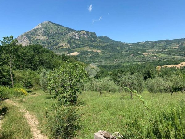 terreno agricolo in vendita a Montesarchio