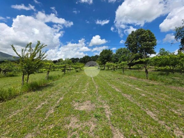 terreno agricolo in vendita a Montesarchio