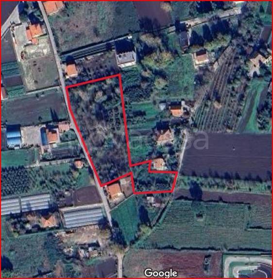 terreno agricolo in vendita a Montesarchio