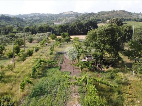 terreno agricolo in vendita a Montesarchio