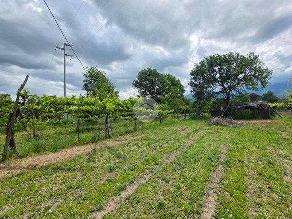 terreno agricolo in vendita a Montesarchio