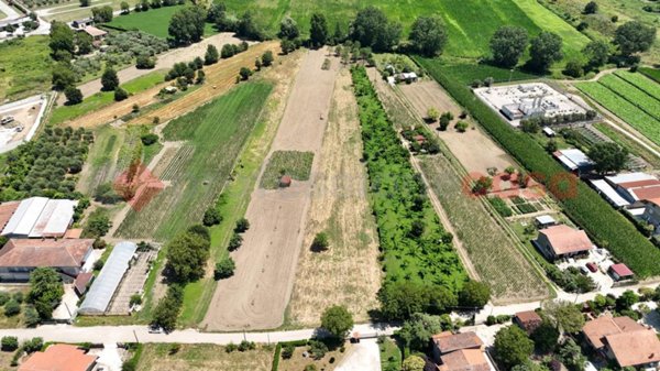 terreno agricolo in vendita a Montesarchio