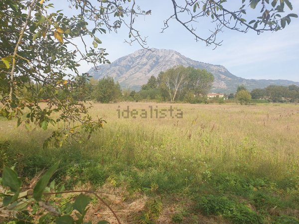 negozio in vendita a Montesarchio