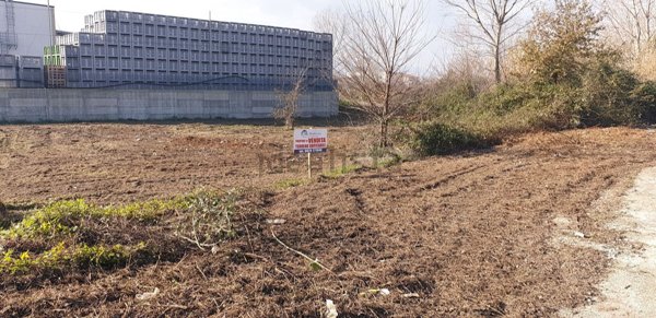 capannone in vendita a Montesarchio