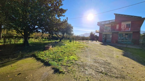 esavano in vendita a Montesarchio in zona Varoni