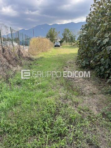 terreno agricolo in vendita a Montesarchio
