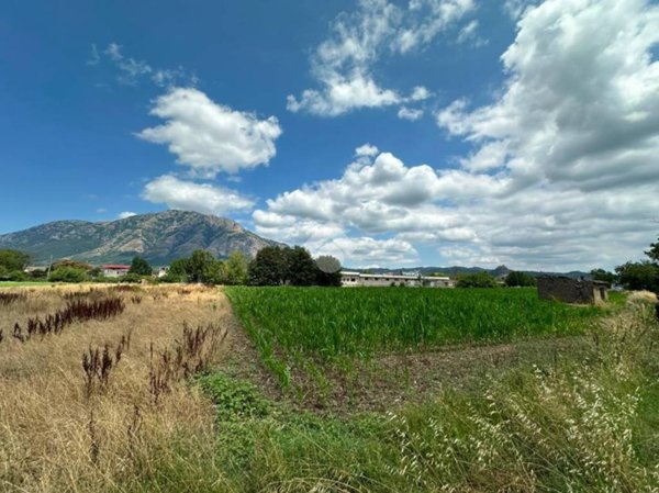 terreno agricolo in vendita a Montesarchio