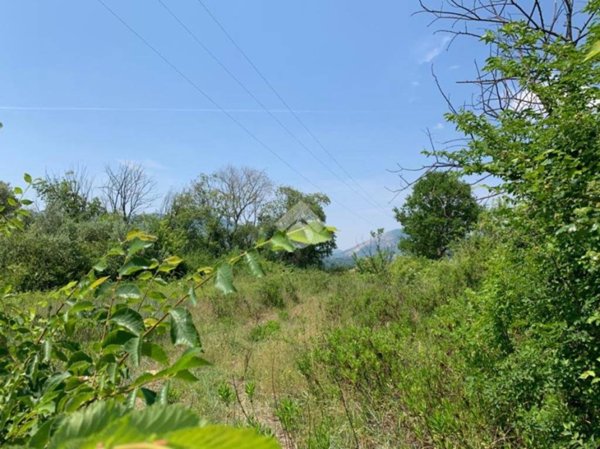 terreno agricolo in vendita a Montesarchio in zona Varoni