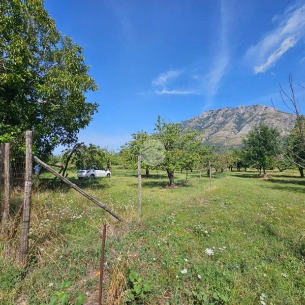 terreno agricolo in vendita a Montesarchio