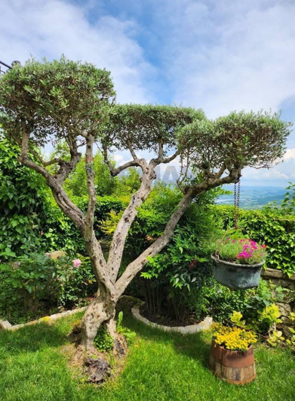 casa indipendente in vendita a Morcone