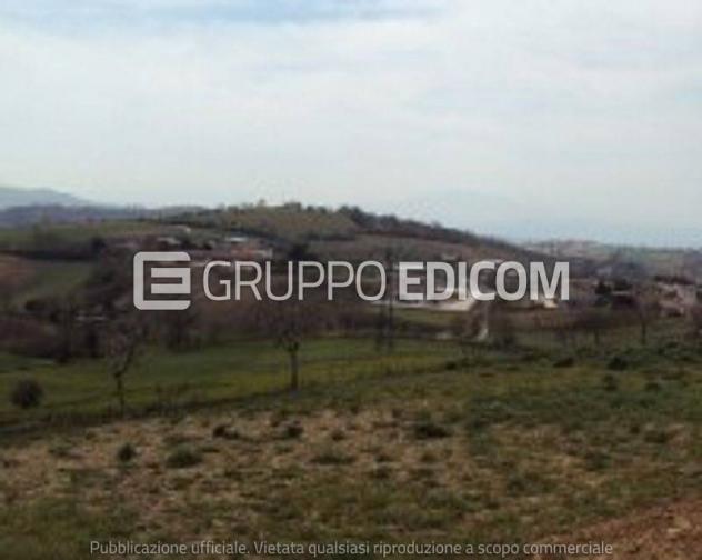 terreno agricolo in vendita a Paduli
