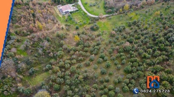 terreno agricolo in vendita a Paduli