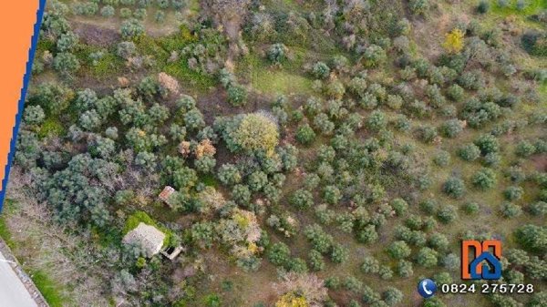 terreno agricolo in vendita a Paduli