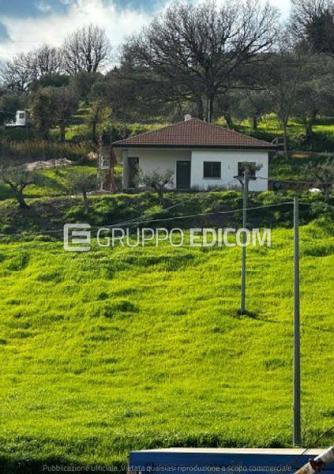 locale commerciale in vendita a Paduli