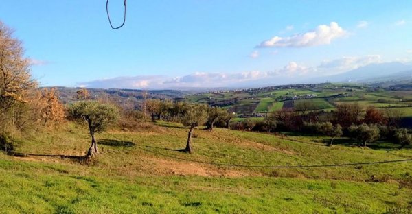 capannone in vendita a Paduli