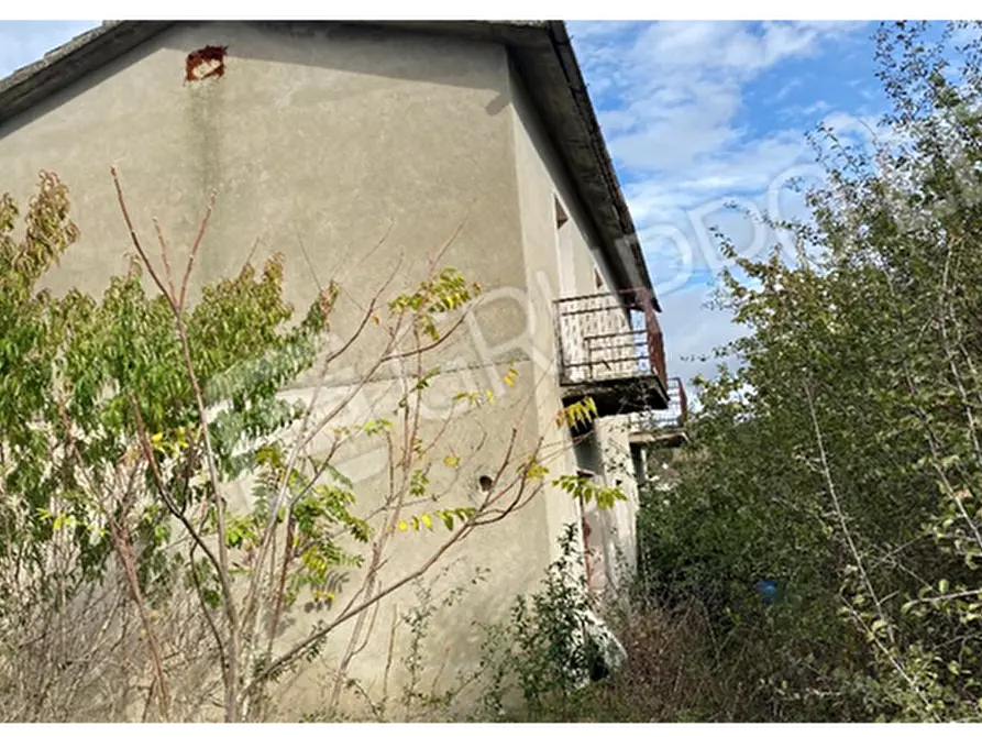 immagine annuncio 0 di 1