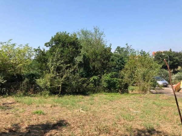 terreno agricolo in vendita a Pietrelcina