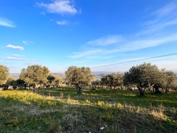 terreno agricolo in vendita a Pietrelcina