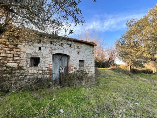 terreno agricolo in vendita a Pietrelcina