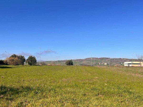 terreno agricolo in vendita a Pietrelcina