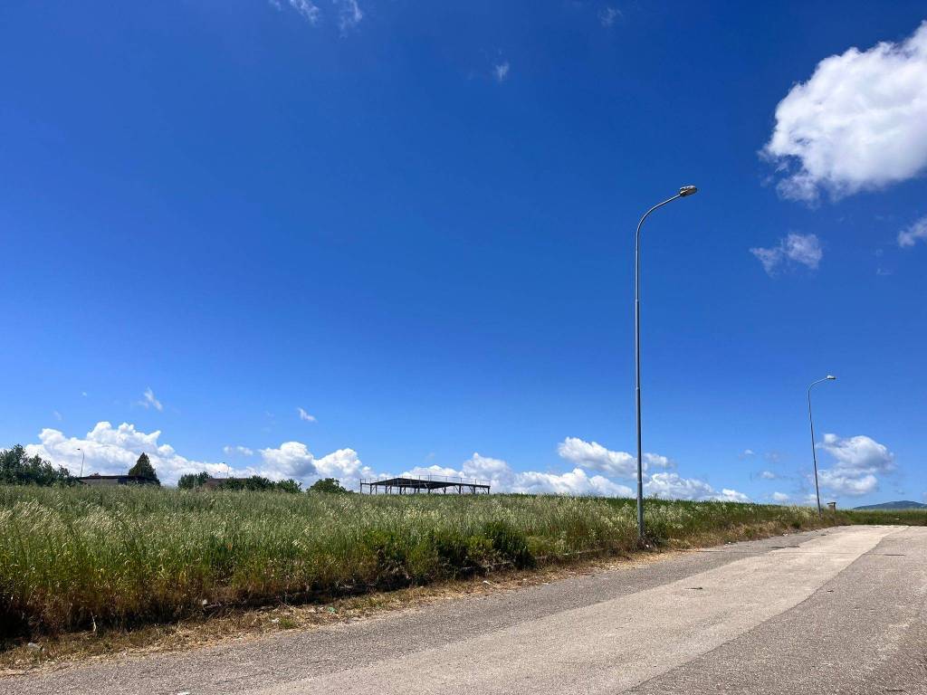 terreno agricolo in vendita a Pietrelcina